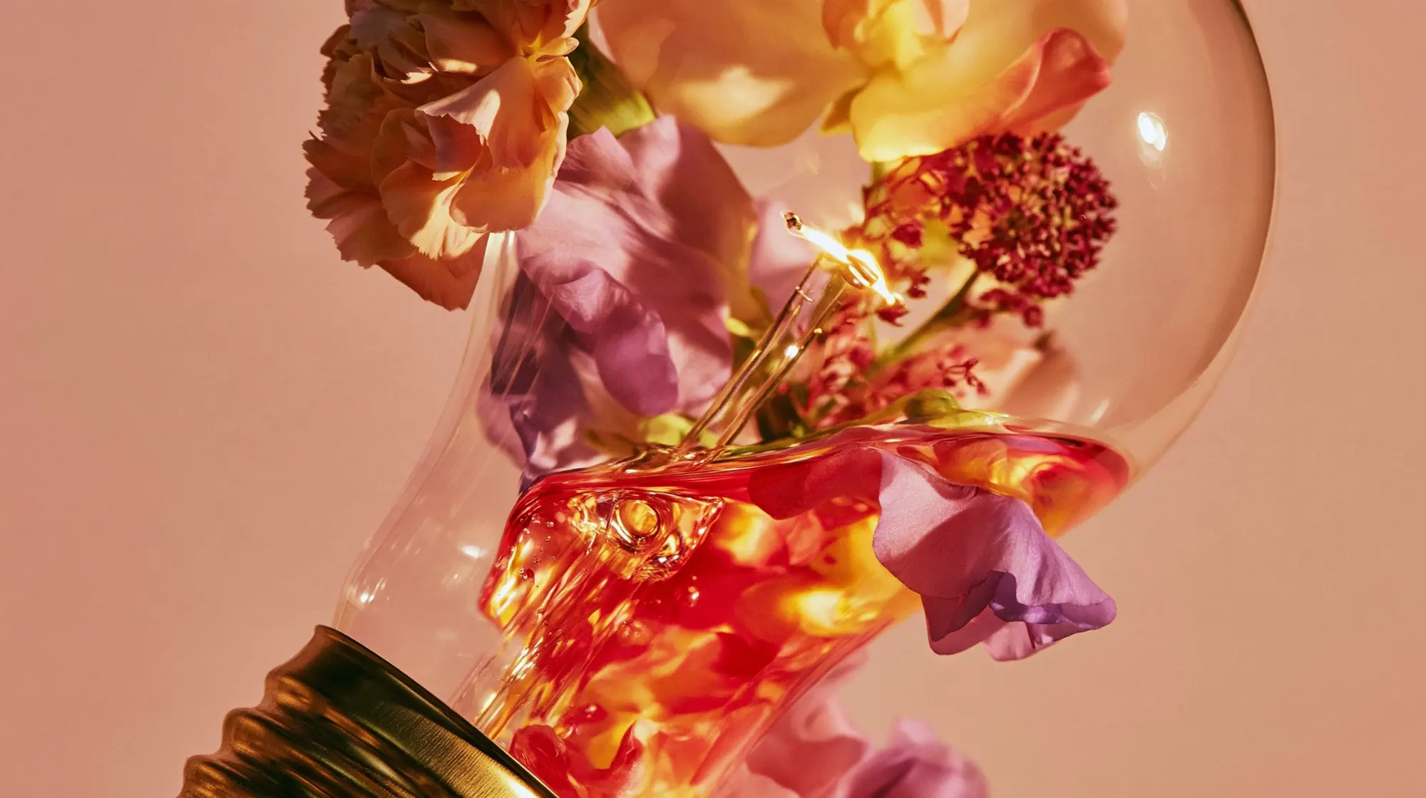 A glass light bulb filled with flowers and amber liquid, glowing from within